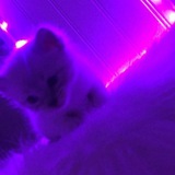 top user avatar